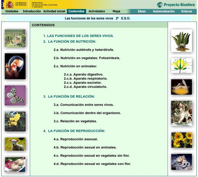 Ministerio De Educacion: Las Funciones De Los Seres Vivos Handout Ministerio De Educacion: Las Funciones De Los Seres Vivos Handout