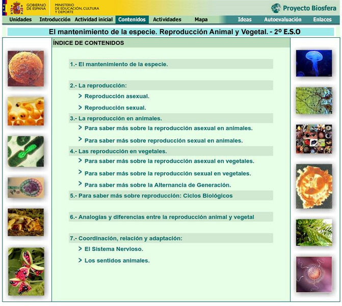 Ministerio De Educacion: El Mantenimiento De La Especie Activity Ministerio De Educacion: El Mantenimiento De La Especie Activity