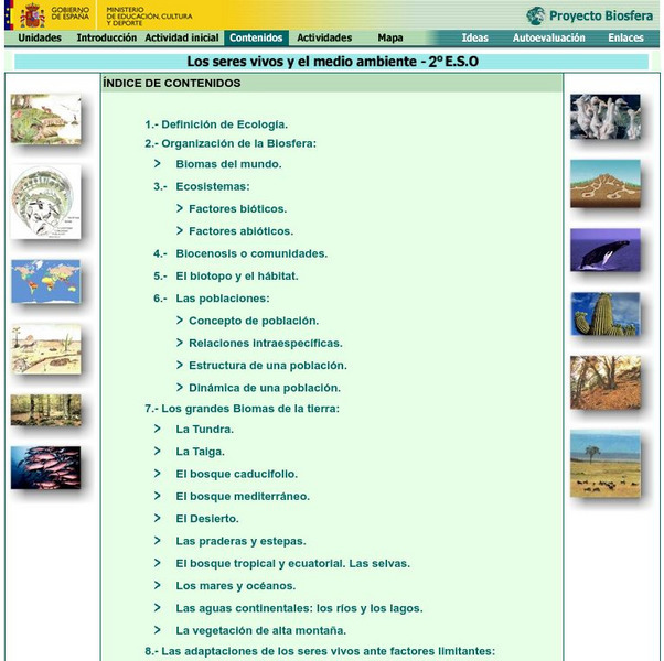 Ministerio De Educacion: Los Seres Vivos Y El Medio Ambiente Lesson Plan