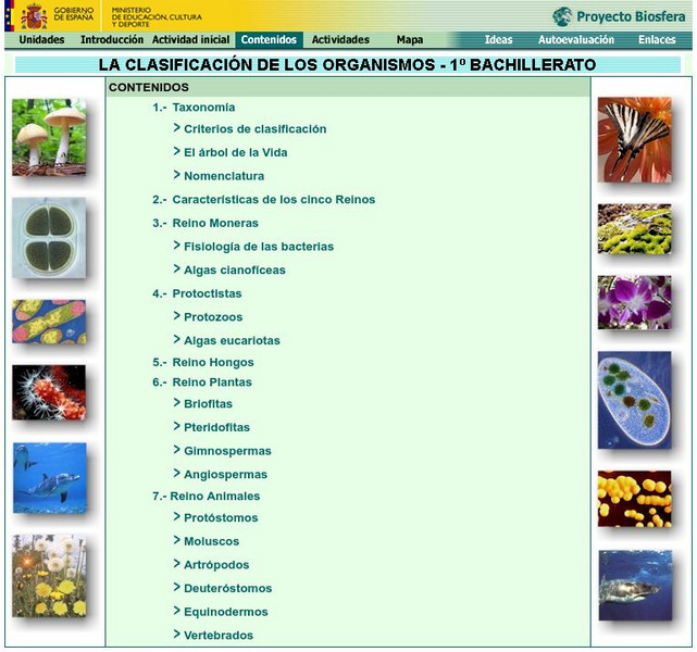 Ministerio De Educacion: La Clasificacion De Los Organismo Handout Ministerio De Educacion: La Clasificacion De Los Organismo Handout