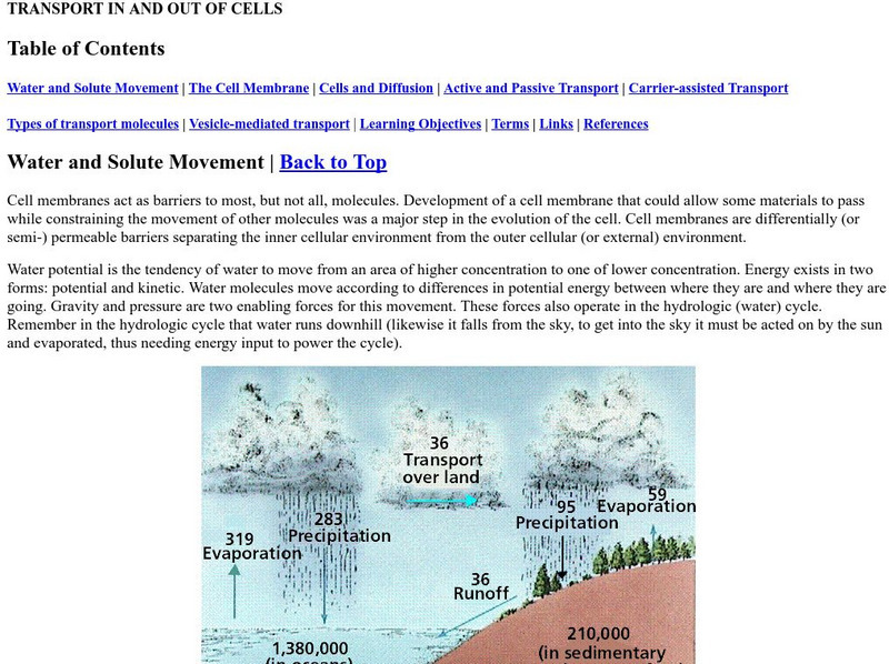 Estrella Mountain Community College: Transport in and Out of Cells eBook Estrella Mountain Community College: Transport in and Out of Cells eBook