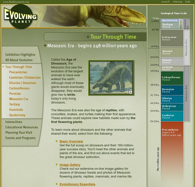 Field Museum: Exhibits: Evolving Planet: Mesozoic Era Website Field Museum: Exhibits: Evolving Planet: Mesozoic Era Website