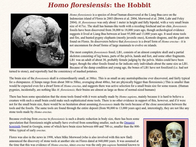 Talk Origins: Homo Floresiensis: The Hobbit Handout Talk Origins: Homo Floresiensis: The Hobbit Handout