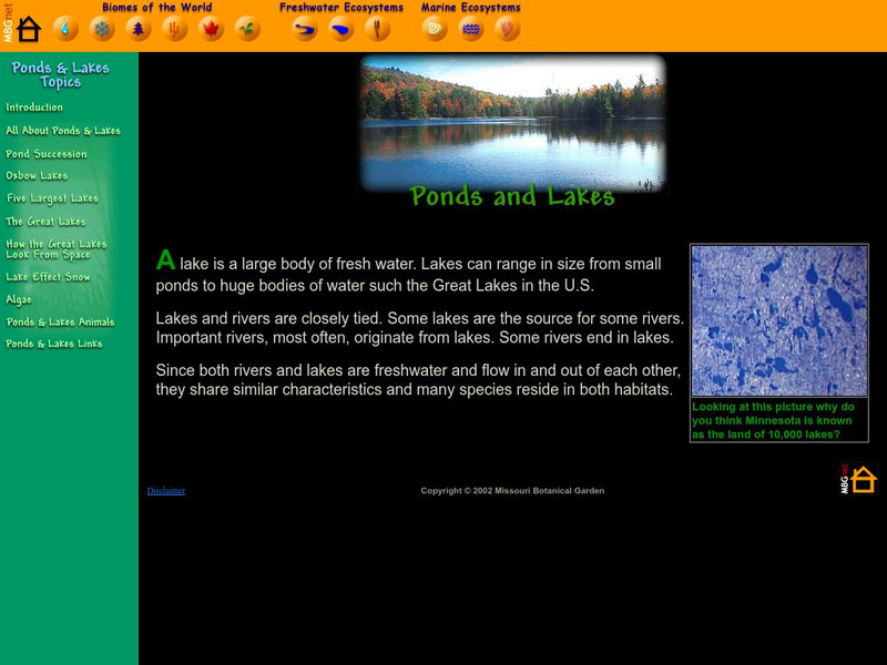 Missouri Botanical Garden: Lakes and Ponds Activity Missouri Botanical Garden: Lakes and Ponds Activity