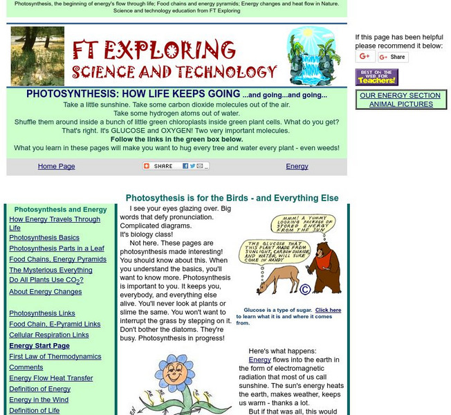 Ft Exploring: Photosynthesis Handout Ft Exploring: Photosynthesis Handout