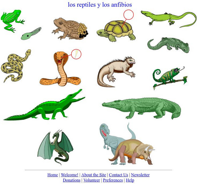 Language Guide: Los Reptiles Y Los Anfibios Unit Plan Language Guide: Los Reptiles Y Los Anfibios Unit Plan