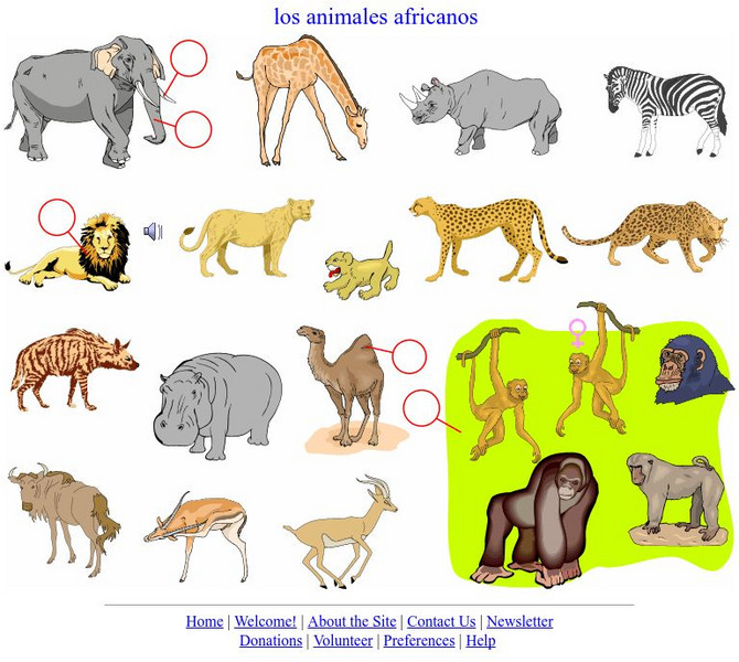 Language Guide: Los Animales Africanos Unit Plan Language Guide: Los Animales Africanos Unit Plan