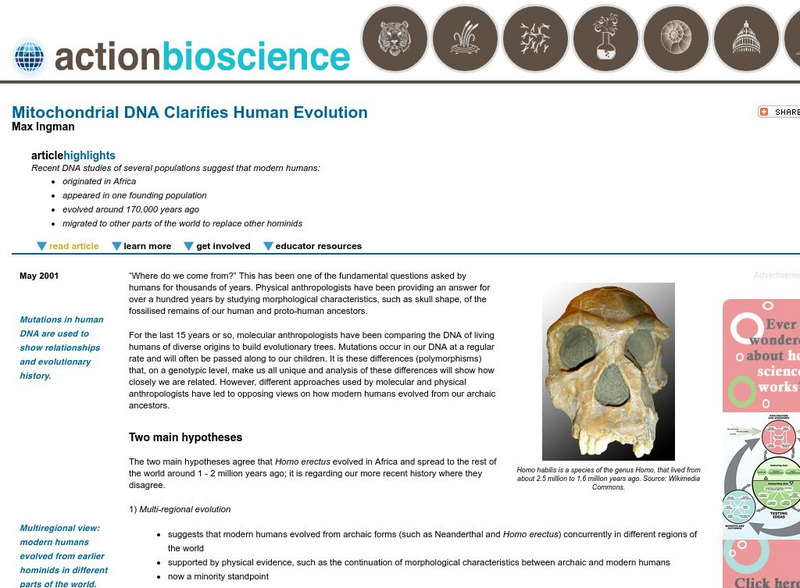 Action Bioscience: Mitochondrial Dna Clarifies Human Evolution Article Action Bioscience: Mitochondrial Dna Clarifies Human Evolution Article