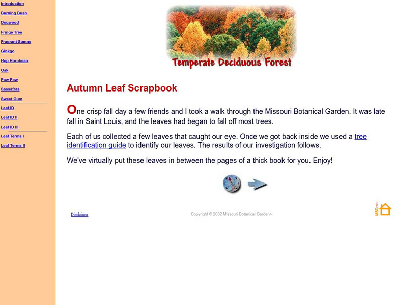 Missouri Botanical Garden: Autumn Leaf Scrapbook Handout Missouri Botanical Garden: Autumn Leaf Scrapbook Handout