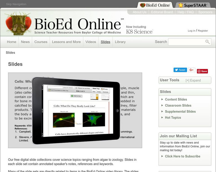 Bio Ed Online: Stem Cell Slide Show PPT Bio Ed Online: Stem Cell Slide Show PPT
