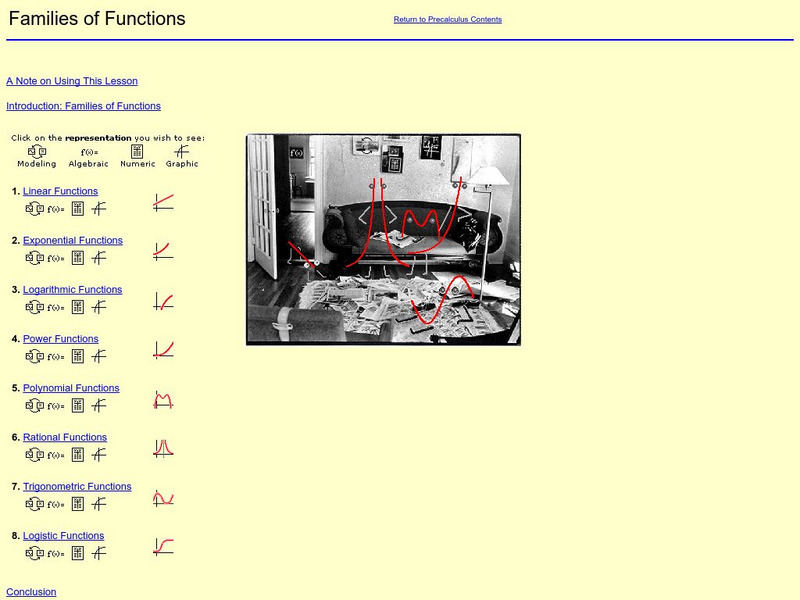William Mueller: Families of Functions Graphic William Mueller: Families of Functions Graphic
