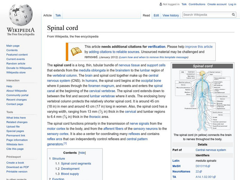 Wikipedia: Spinal Cord Handout Wikipedia: Spinal Cord Handout