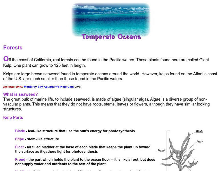 Missouri Botanical Garden: Giant Kelp Handout Missouri Botanical Garden: Giant Kelp Handout