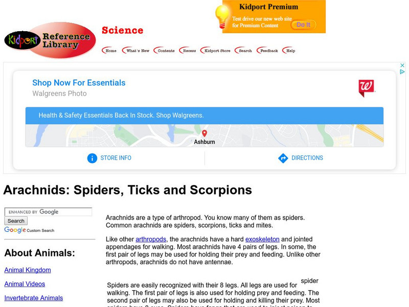 Kid Port: Arachnids Spiders, Ticks, and Scorpions Handout Kid Port: Arachnids Spiders, Ticks, and Scorpions Handout