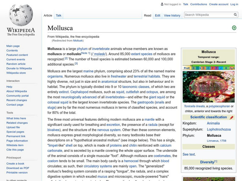 Wikipedia: Mollusk Handout Wikipedia: Mollusk Handout