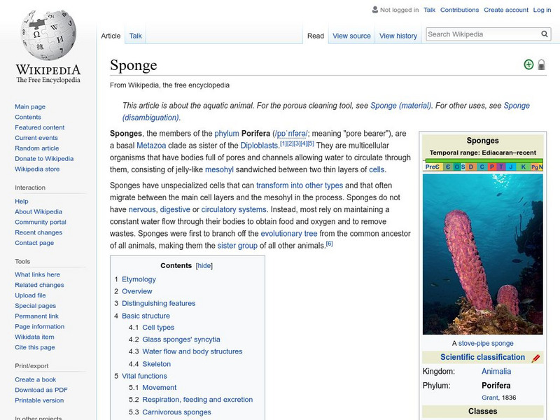 Wikipedia: Sponge Handout Wikipedia: Sponge Handout