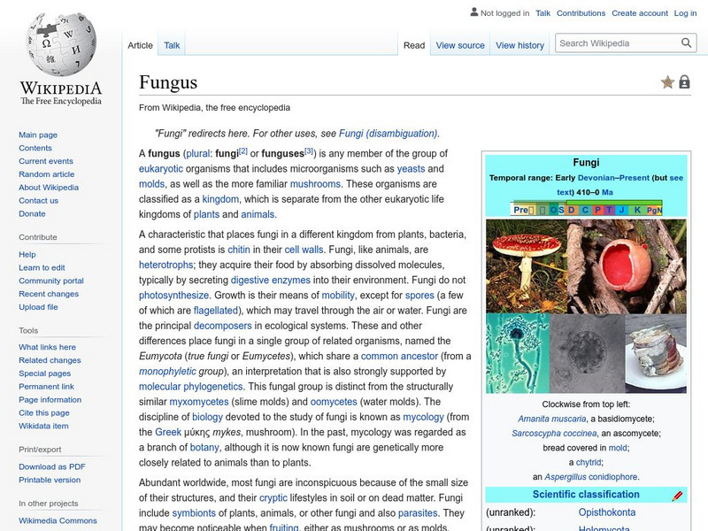 Wikipedia: Fungus Handout Wikipedia: Fungus Handout