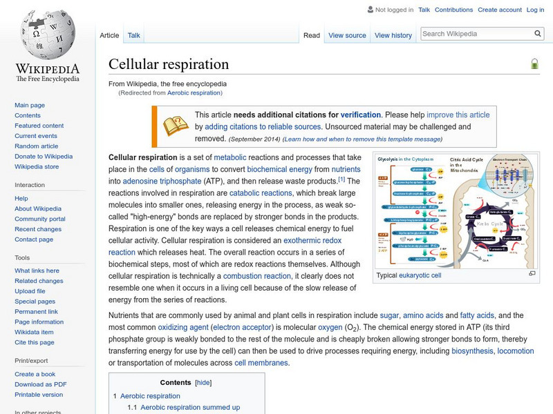 Wikipedia: Aerobic Respiration Handout Wikipedia: Aerobic Respiration Handout