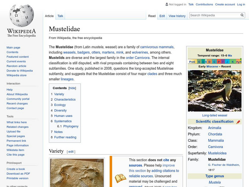 Wikipedia: Mustelidae Handout Wikipedia: Mustelidae Handout