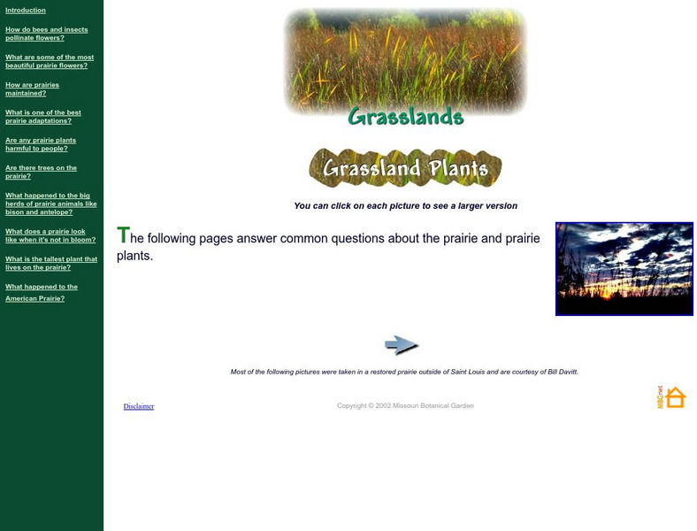 Missouri Botanical Garden: Grassland Plants Activity Missouri Botanical Garden: Grassland Plants Activity