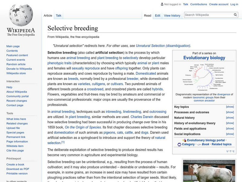 Wikipedia: Selective Breeding Handout Wikipedia: Selective Breeding Handout