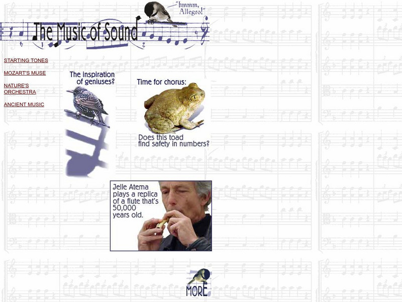 The Why Files: The Music of Sound Website The Why Files: The Music of Sound Website