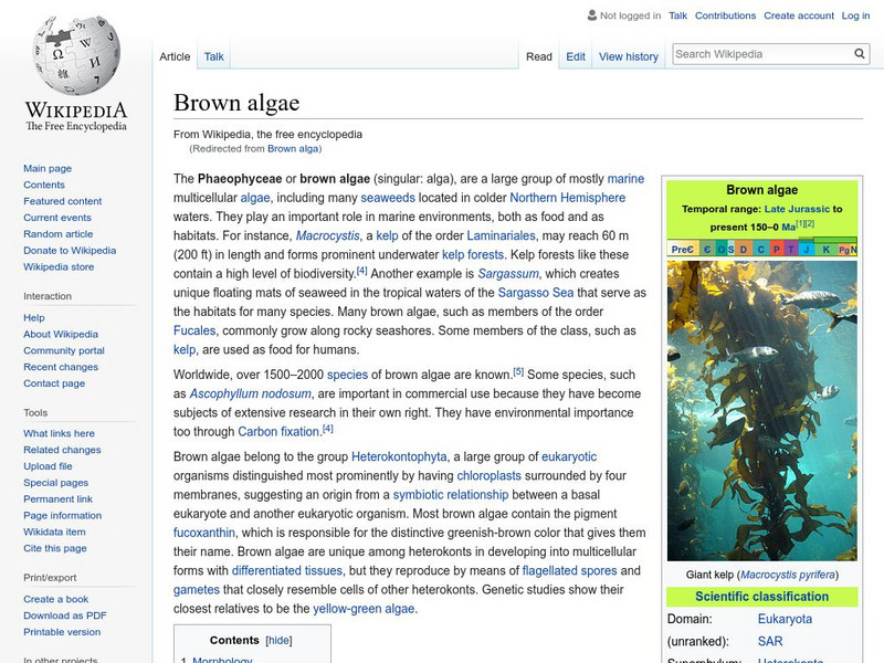 Wikipedia: Brown Algae Handout Wikipedia: Brown Algae Handout
