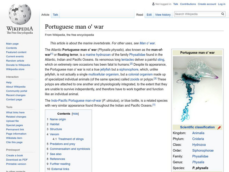 Wikipedia: Portuguese Man O'war Handout Wikipedia: Portuguese Man O'war Handout