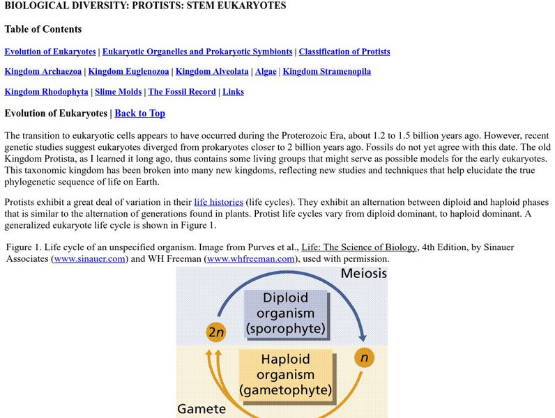 Online Biology Book: Biological Diversity: Protists: Stem Eukaryotes eBook Online Biology Book: Biological Diversity: Protists: Stem Eukaryotes eBook