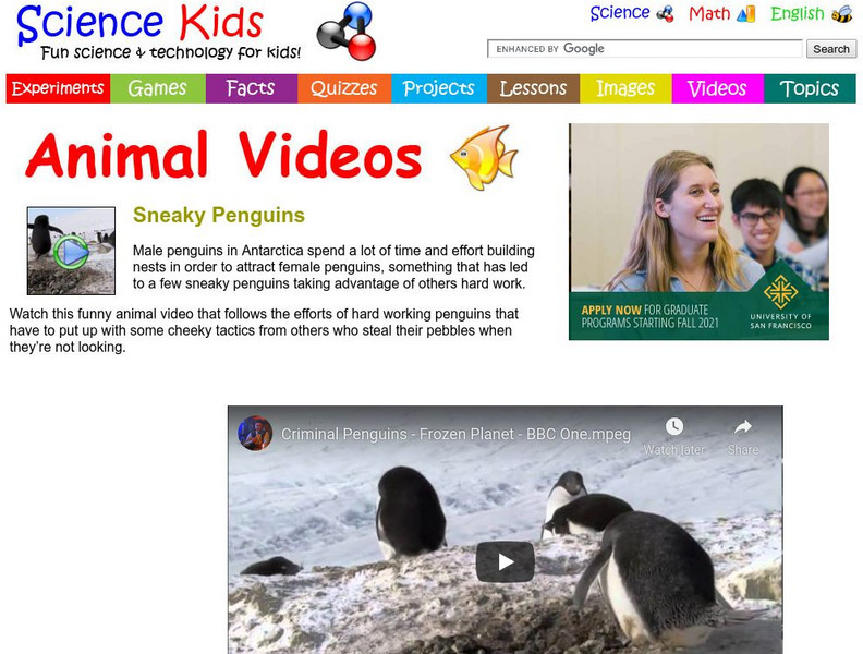 Science Kids: Animal Videos: Sneaky Penguins Instructional Video