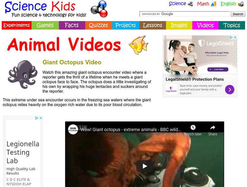 Science Kids: Animal Videos: Giant Octopus Video Instructional Video