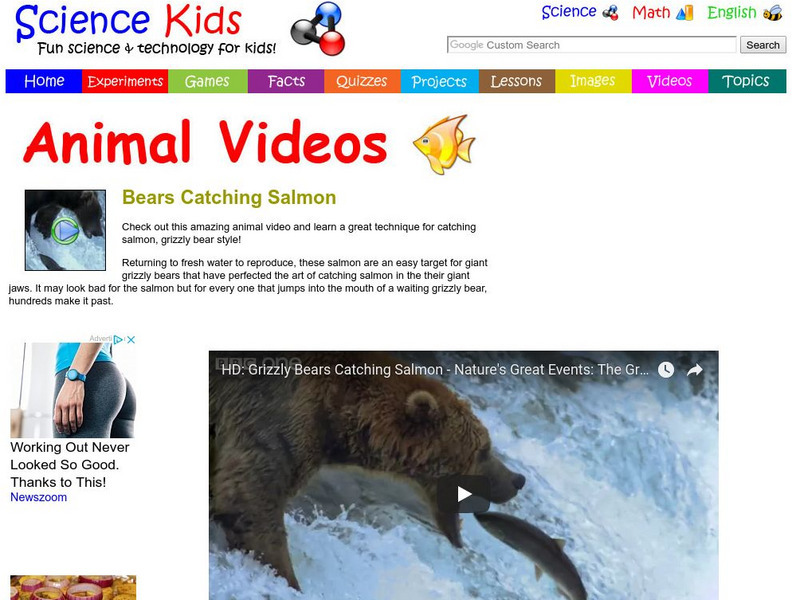 Science Kids: Animal Videos: Bears Catching Salmon Instructional Video
