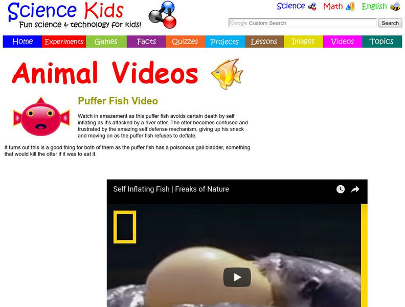 Science Kids: Animal Videos: Puffer Fish Video Instructional Video Science Kids: Animal Videos: Puffer Fish Video Instructional Video