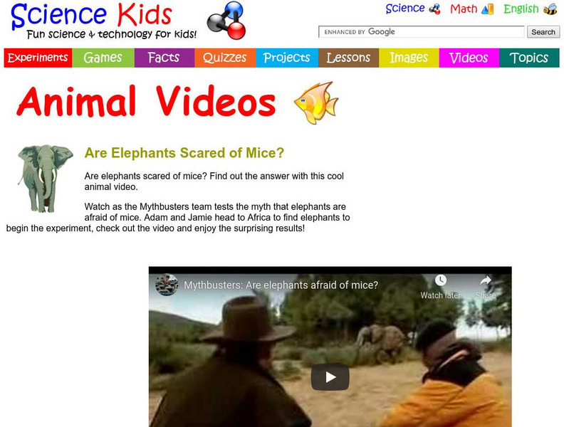 Science Kids: Animal Videos: Are Elephants Scared of Mice? Instructional Video