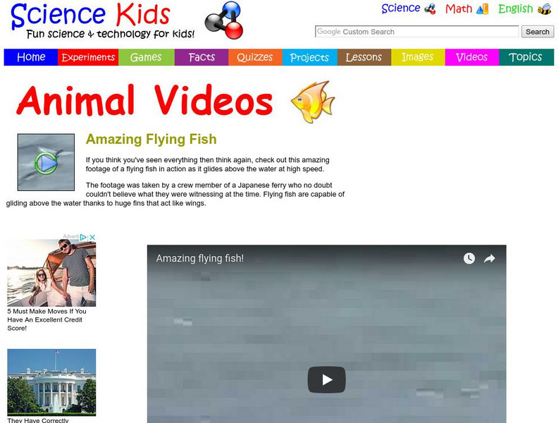 Science Kids: Animal Videos: Amazing Flying Fish Instructional Video