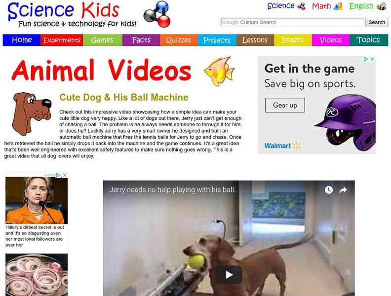 Science Kids: Animal Videos: Cute Dog and His Ball Machine Instructional Video