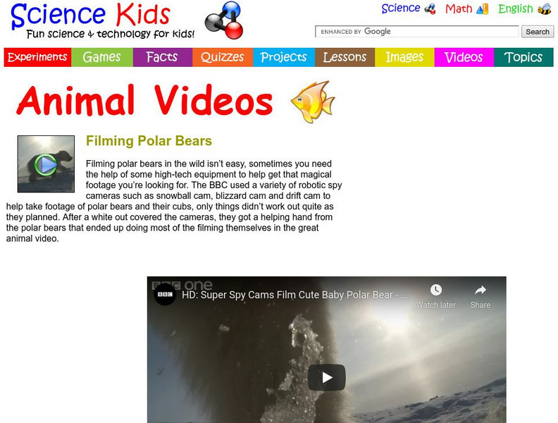 Science Kids: Animal Videos: Filming Polar Bears Instructional Video