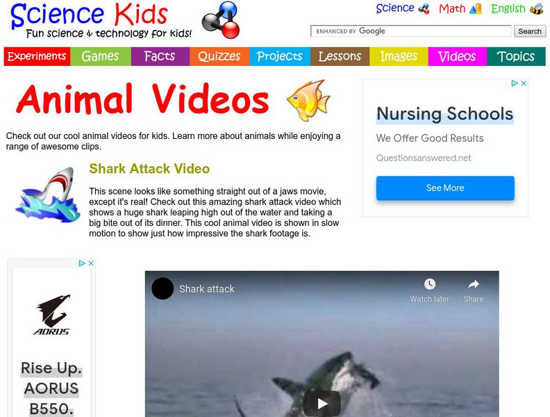 Science Kids: Animal Videos: Shark Attack Video Instructional Video