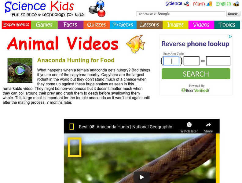 Science Kids: Animal Videos: Anaconda Hunting for Food Instructional Video Science Kids: Animal Videos: Anaconda Hunting for Food Instructional Video
