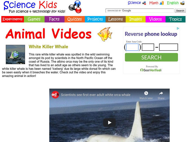 Science Kids: Animal Videos: White Killer Whale Instructional Video