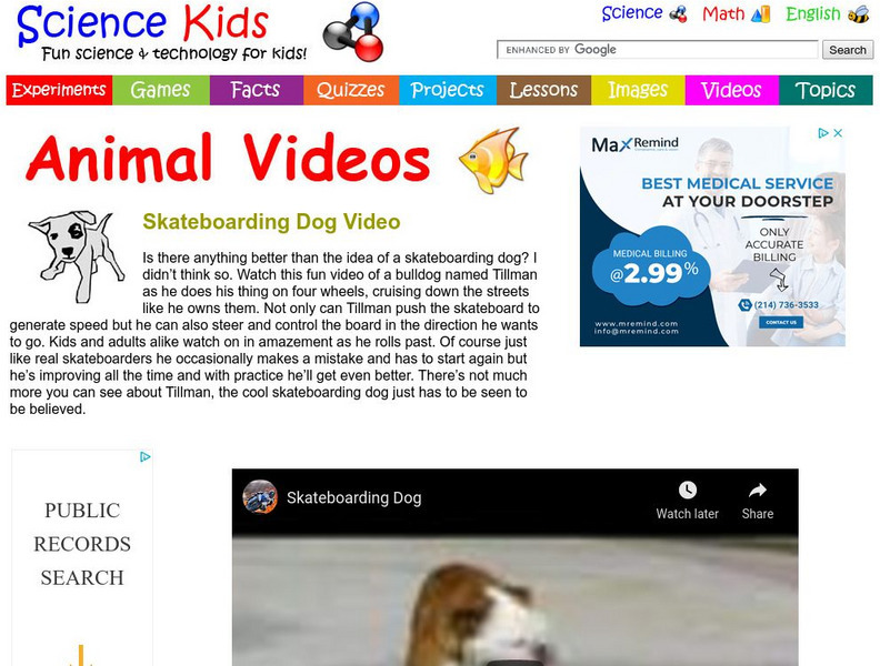 Science Kids: Animal Videos: Skateboarding Dog Video Instructional Video