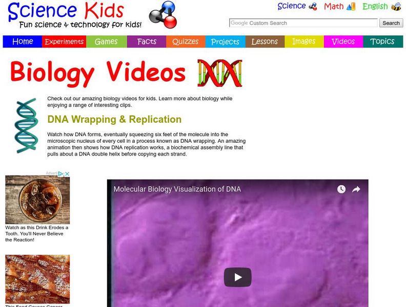 Science Kids: Biology Videos: Dna Wrapping & Replication Instructional Video Science Kids: Biology Videos: Dna Wrapping & Replication Instructional Video