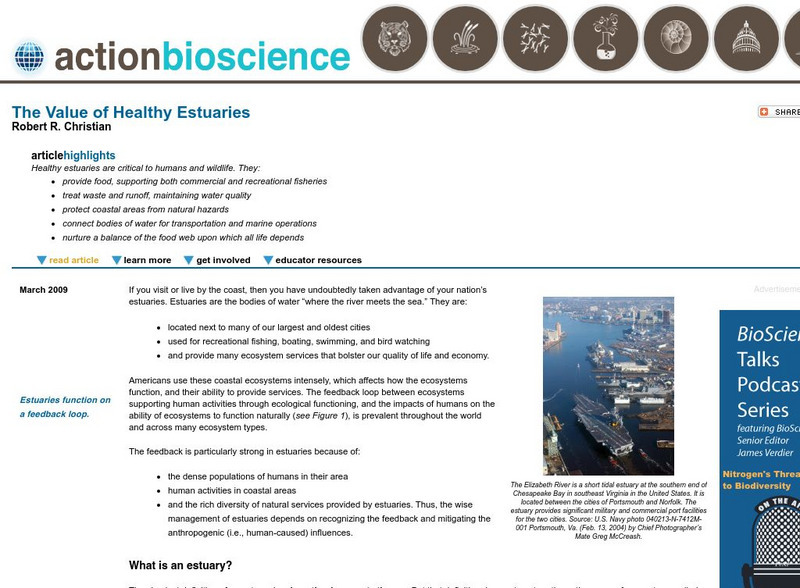 Action Bioscience: The Value of Healthy Estuaries Article Action Bioscience: The Value of Healthy Estuaries Article