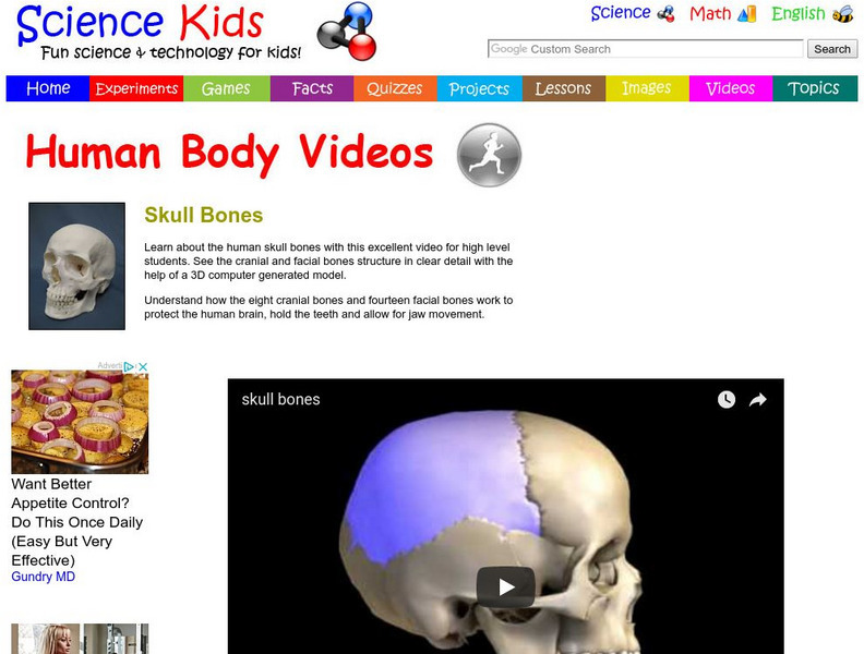 Science Kids: Human Body Videos: Skull Bones Instructional Video