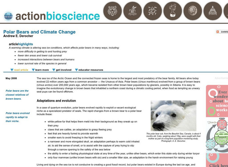 Action Bioscience: Polar Bears and Climate Change Article Action Bioscience: Polar Bears and Climate Change Article