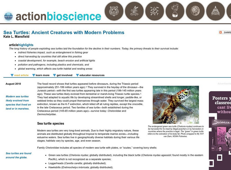 Action Bioscience: Sea Turtles: Ancient Creatures With Modern Problems Article Action Bioscience: Sea Turtles: Ancient Creatures With Modern Problems Article
