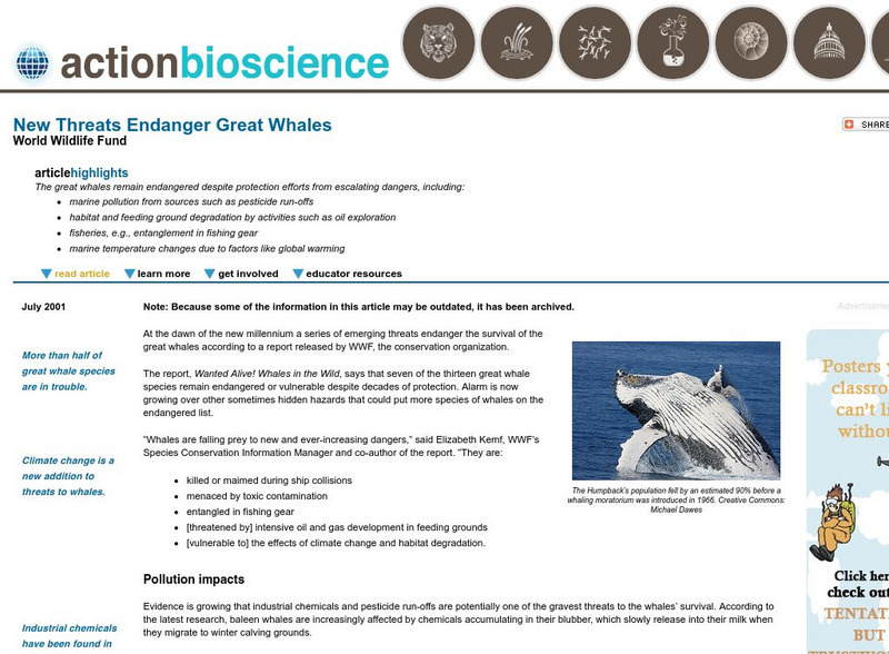 Action Bioscience: New Threats Endanger Great Whales Article Action Bioscience: New Threats Endanger Great Whales Article