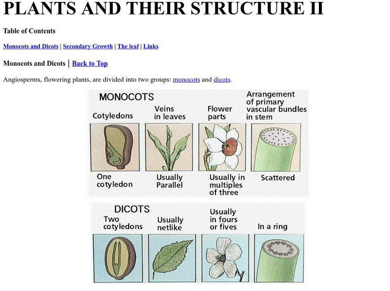 Online Biology Book: Plants and Their Structure Ii eBook Online Biology Book: Plants and Their Structure Ii eBook