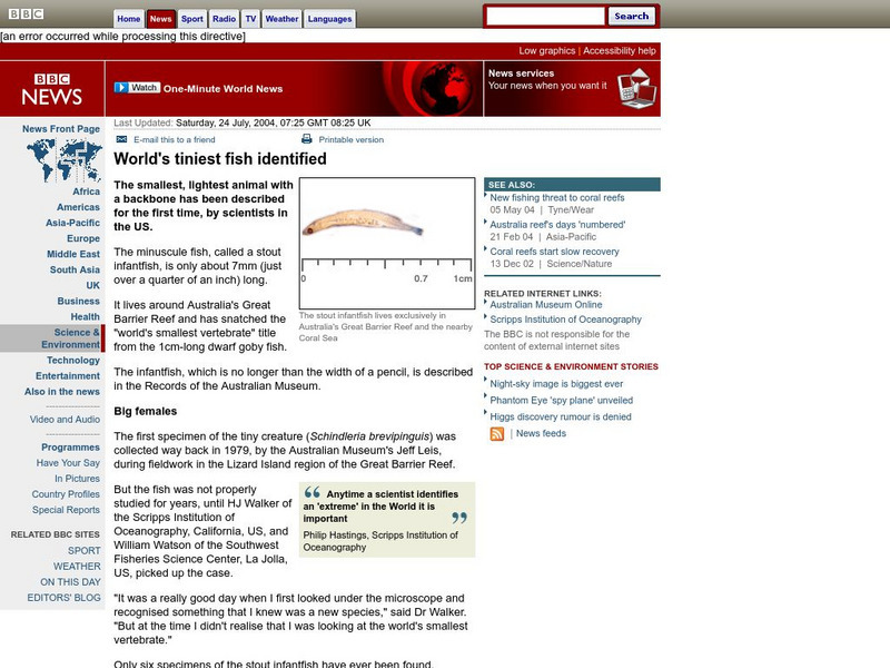 Bbc: World's Smallest Fish Handout
