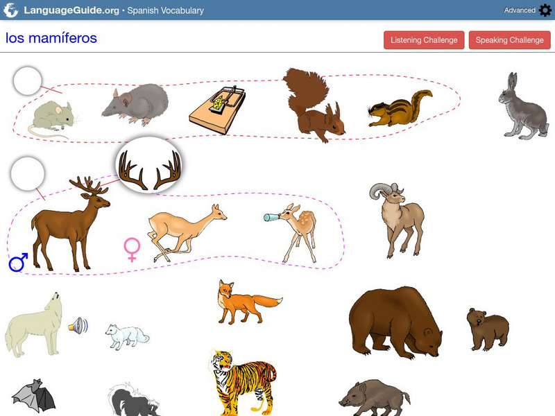 Language Guide: Los Mamferos Unit Plan
